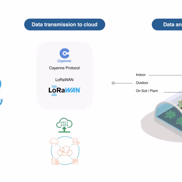 Smart Greenhouse Management Using IoT cover